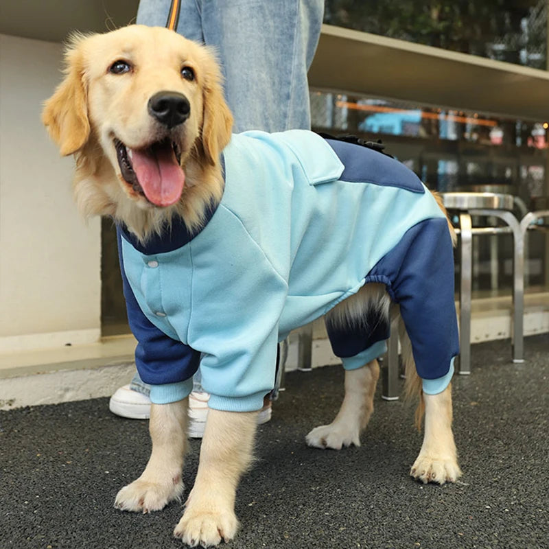 FrostyPaws Sporty Dog Jacket
