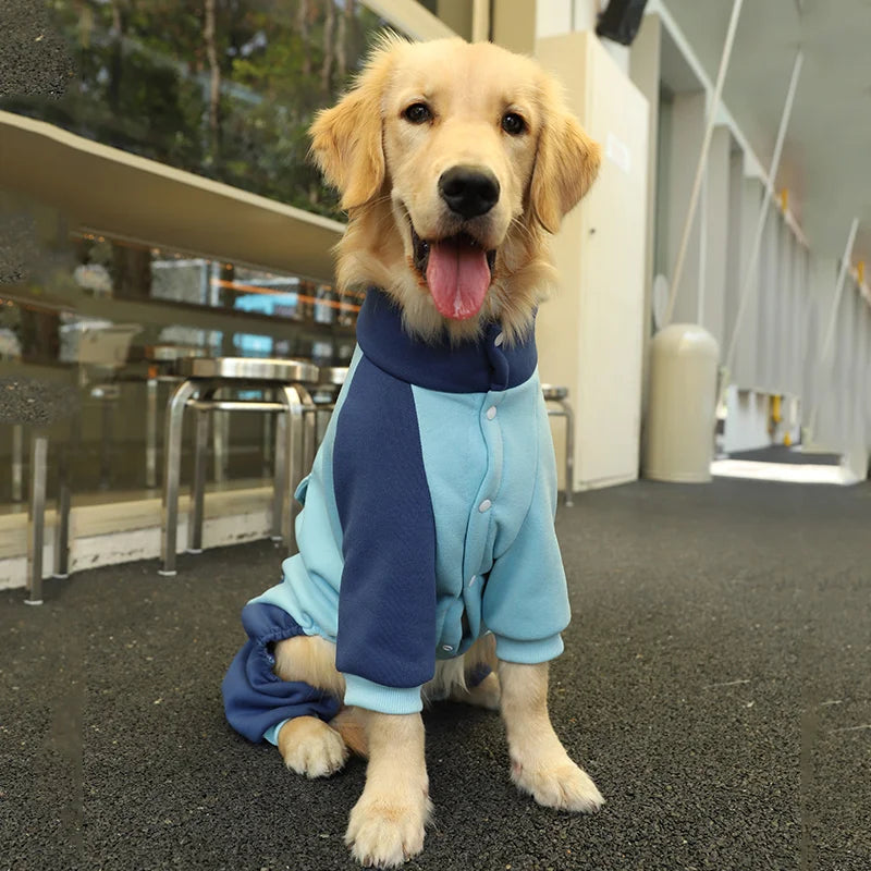 FrostyPaws Sporty Dog Jacket