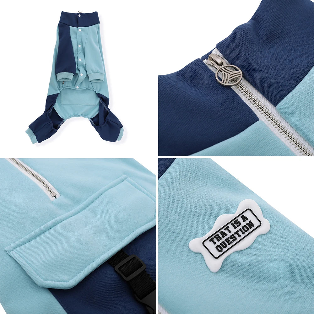 FrostyPaws Sporty Dog Jacket