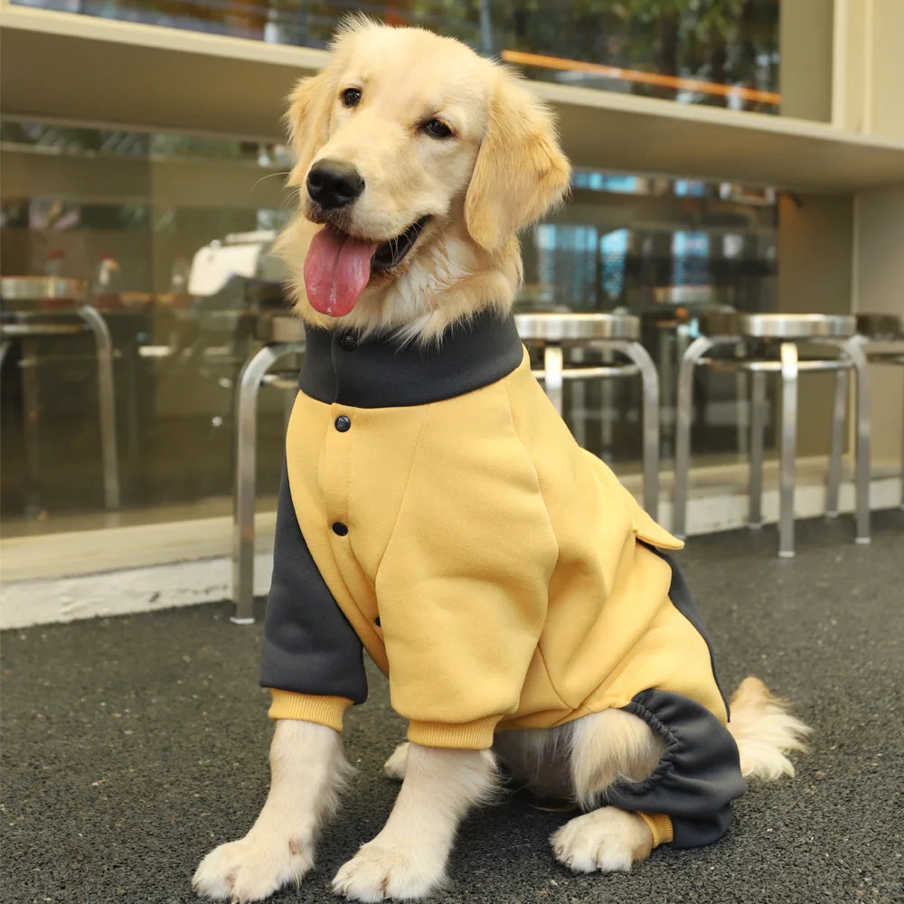 FrostyPaws Sporty Dog Jacket